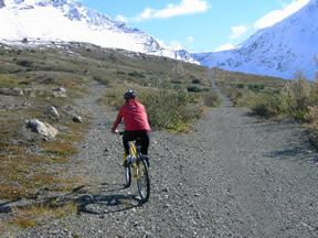 Crucial Turn Off On Powerline Trail