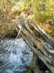 Peters Creek Alternate Stream Crossing - Beware Of Ice