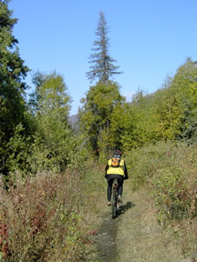 Peters Creek Meadow